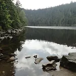 Dominik