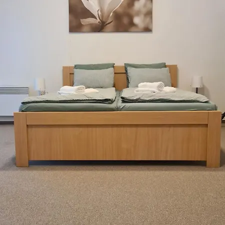 Dominik Apartmán Železná Ruda