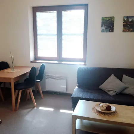 Dominik Apartmán Železná Ruda