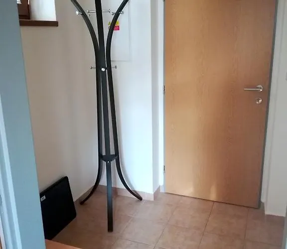 Dominik *